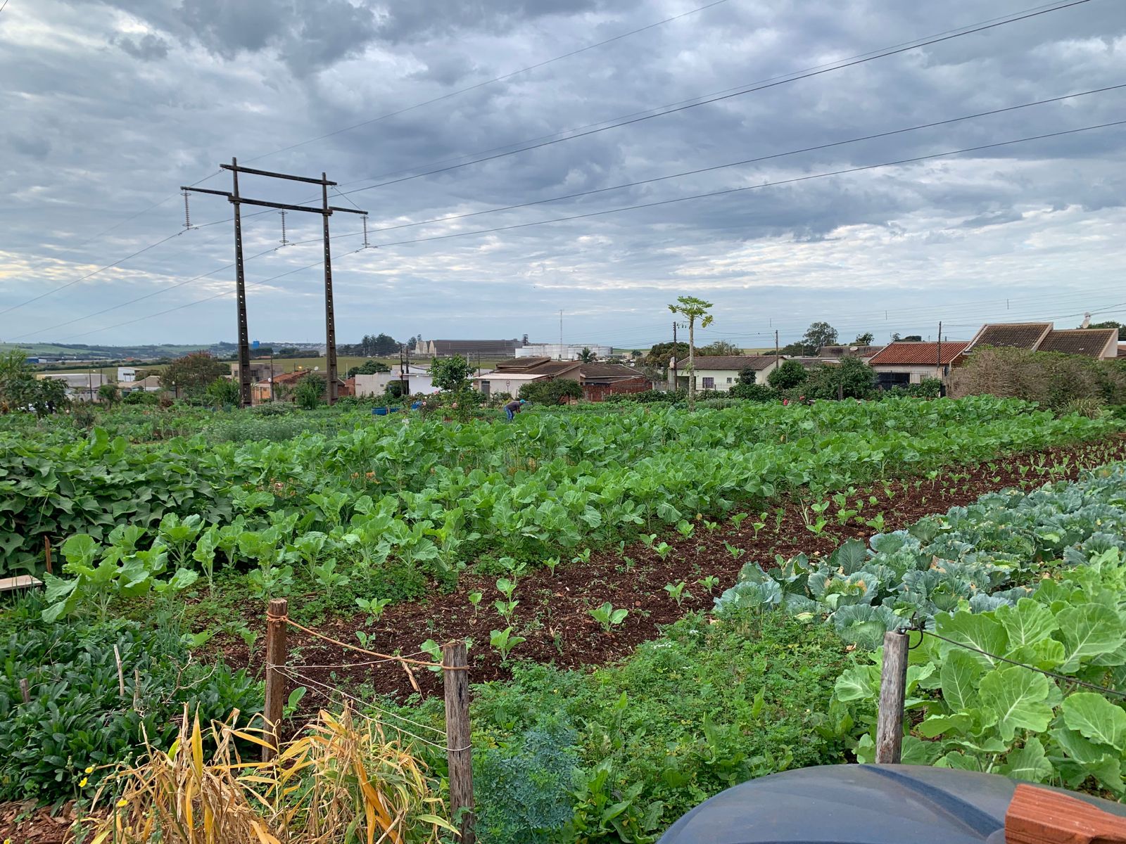 Hortas comunitárias estimulam geração de renda com alimentos saudáveis e beneficiam cerca de 360 famílias